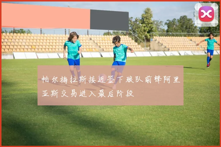 帕尔梅拉斯接近签下狼队前锋阿里亚斯交易进入最后阶段