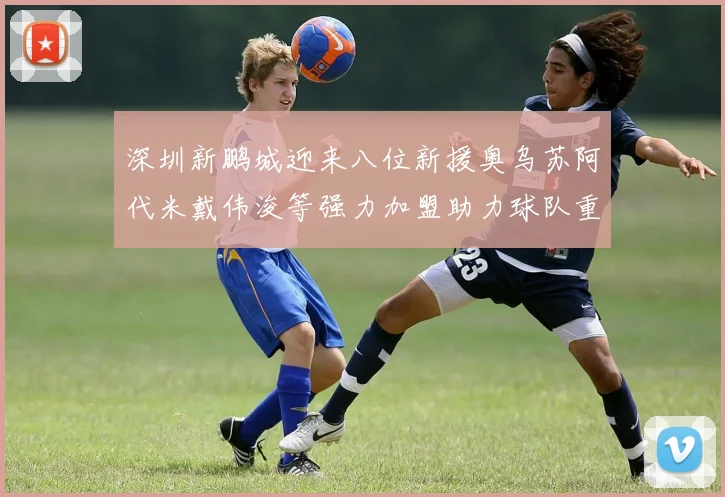 深圳新鹏城迎来八位新援奥乌苏阿代米戴伟浚等强力加盟助力球队重塑辉煌