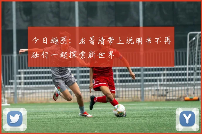 今日趣图：龙哥请带上说明书不再独行一起探索新世界