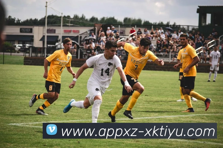 星空体育平台生态图